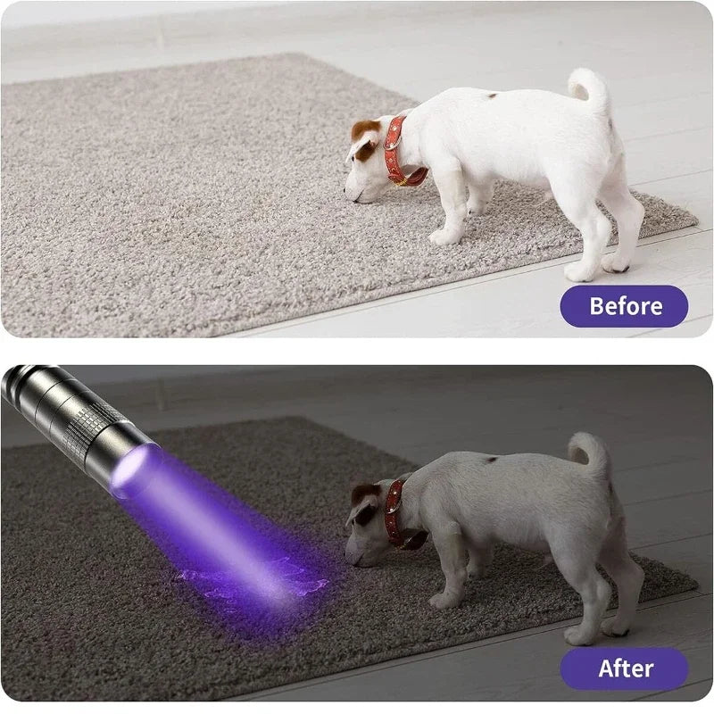 VeXora UVBeam™ Mini Tactical UV Flashlight
